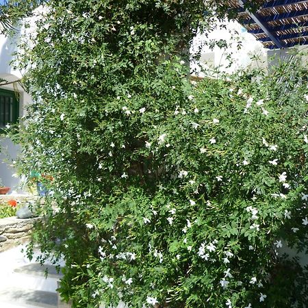 Porto Vlastos อาจิออส ไอออนนิส ภายนอก รูปภาพ