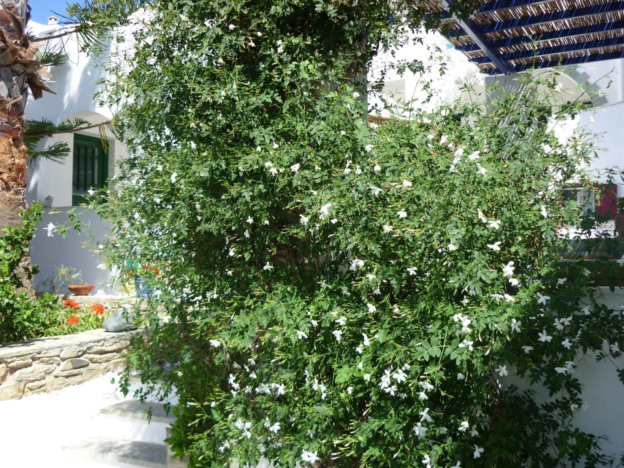 Porto Vlastos อาจิออส ไอออนนิส ภายนอก รูปภาพ